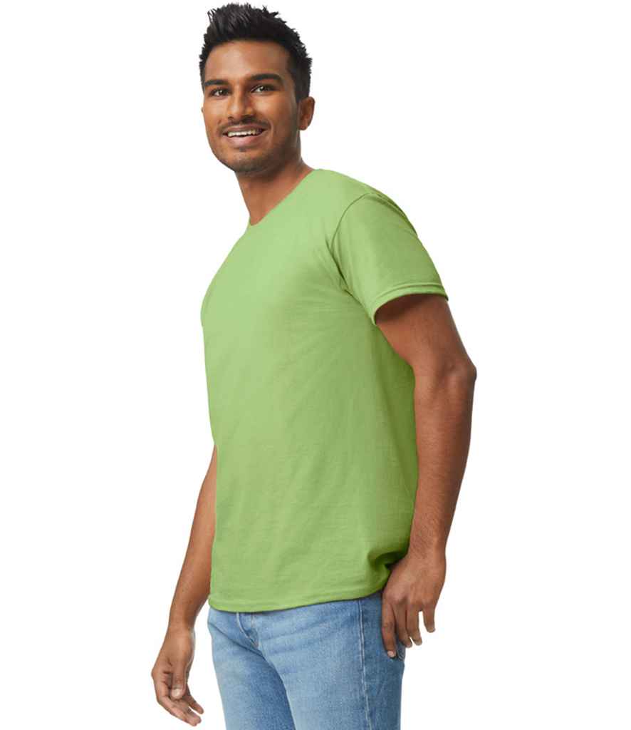 GD05 Kiwi Model